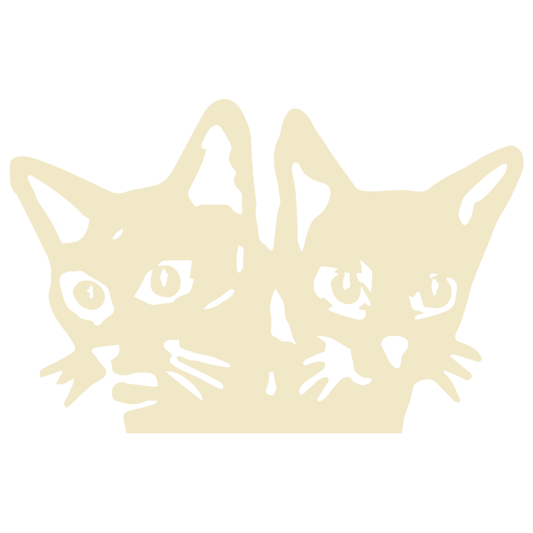 LARRY — the two-headed cat